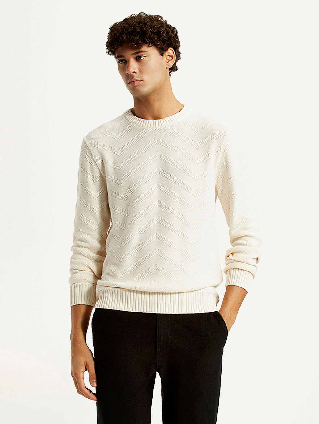 Men's Self Design Off White Crew Neck Sweater - Styleshot View
