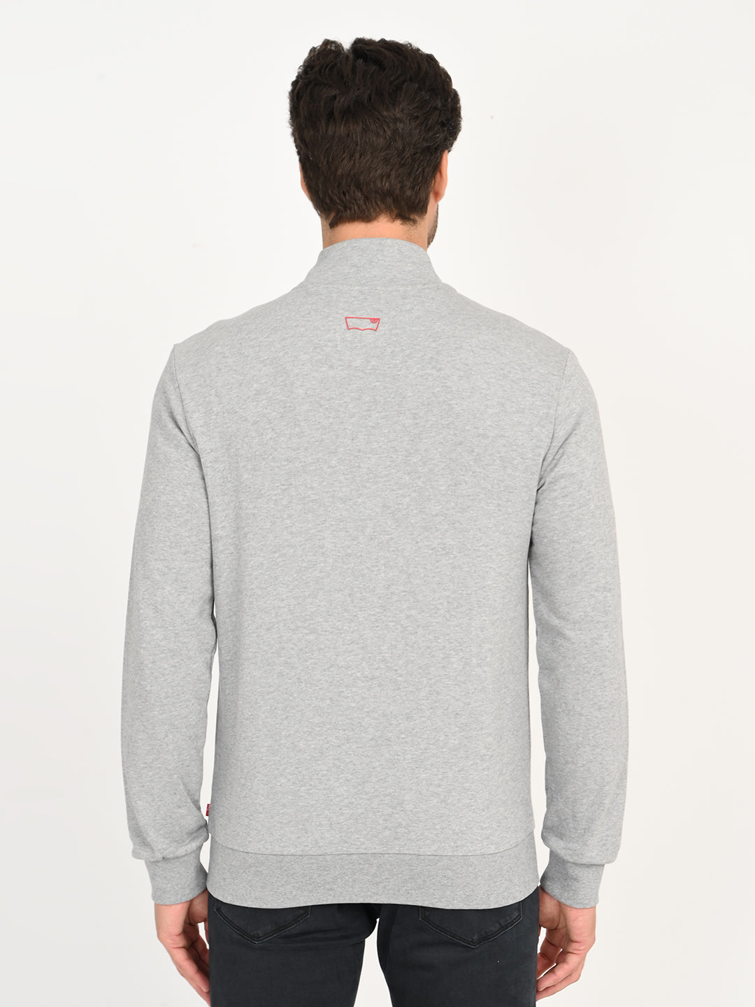 Men's Solid Light-Grey Hooded Sweatshirt - back View