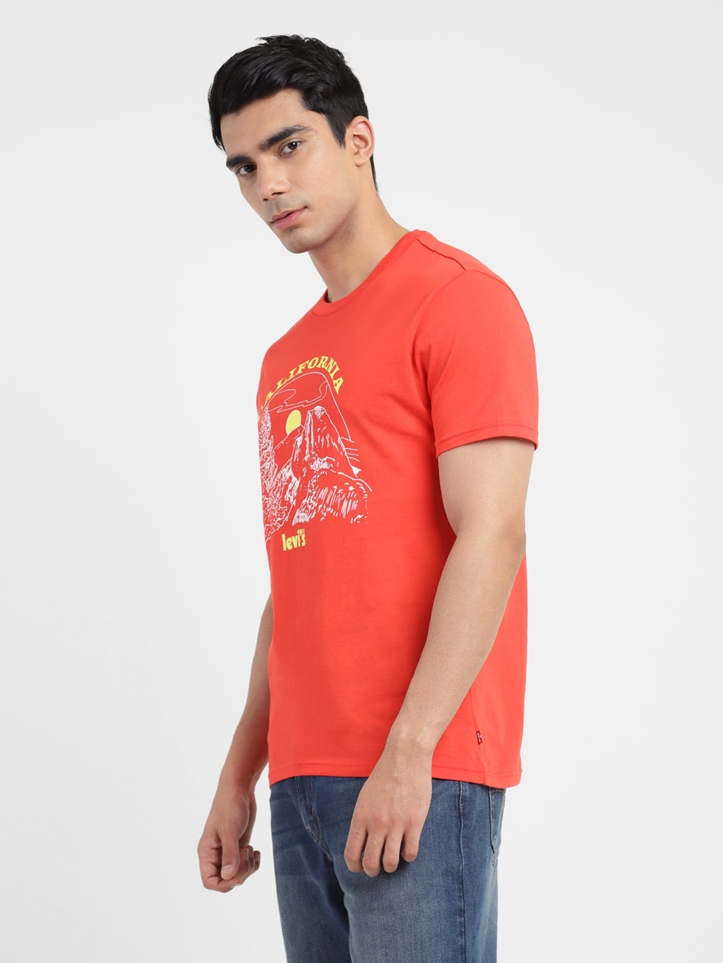 Men's Graphic Print Regular Fit T-shirt - ade8cabb-bcaa-4fb5-9f55-a9860889d86d View