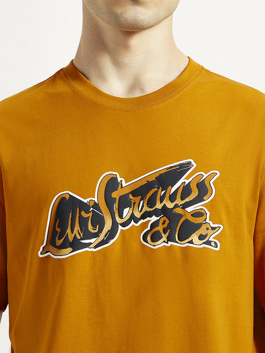 Men's Graphic Regular Fit T-Shirt - Detail View