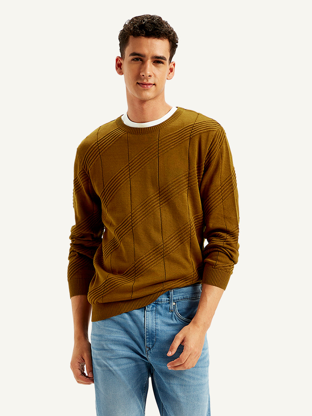 Men's Redloop Textured Brown Crew Neck Sweater - 728cc6ce-ce45-45dc-85b0-7392a506a9b0 View