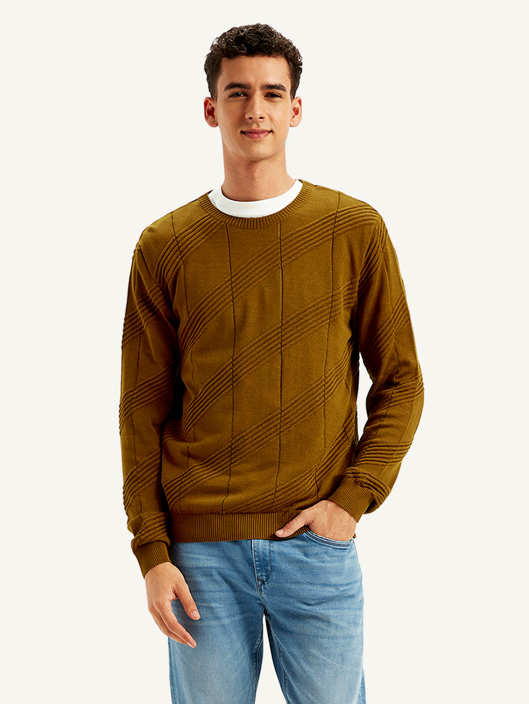 Men's Redloop Textured Brown Crew Neck Sweater - 381f91dd-2401-44b4-99d9-117db33daa24 View