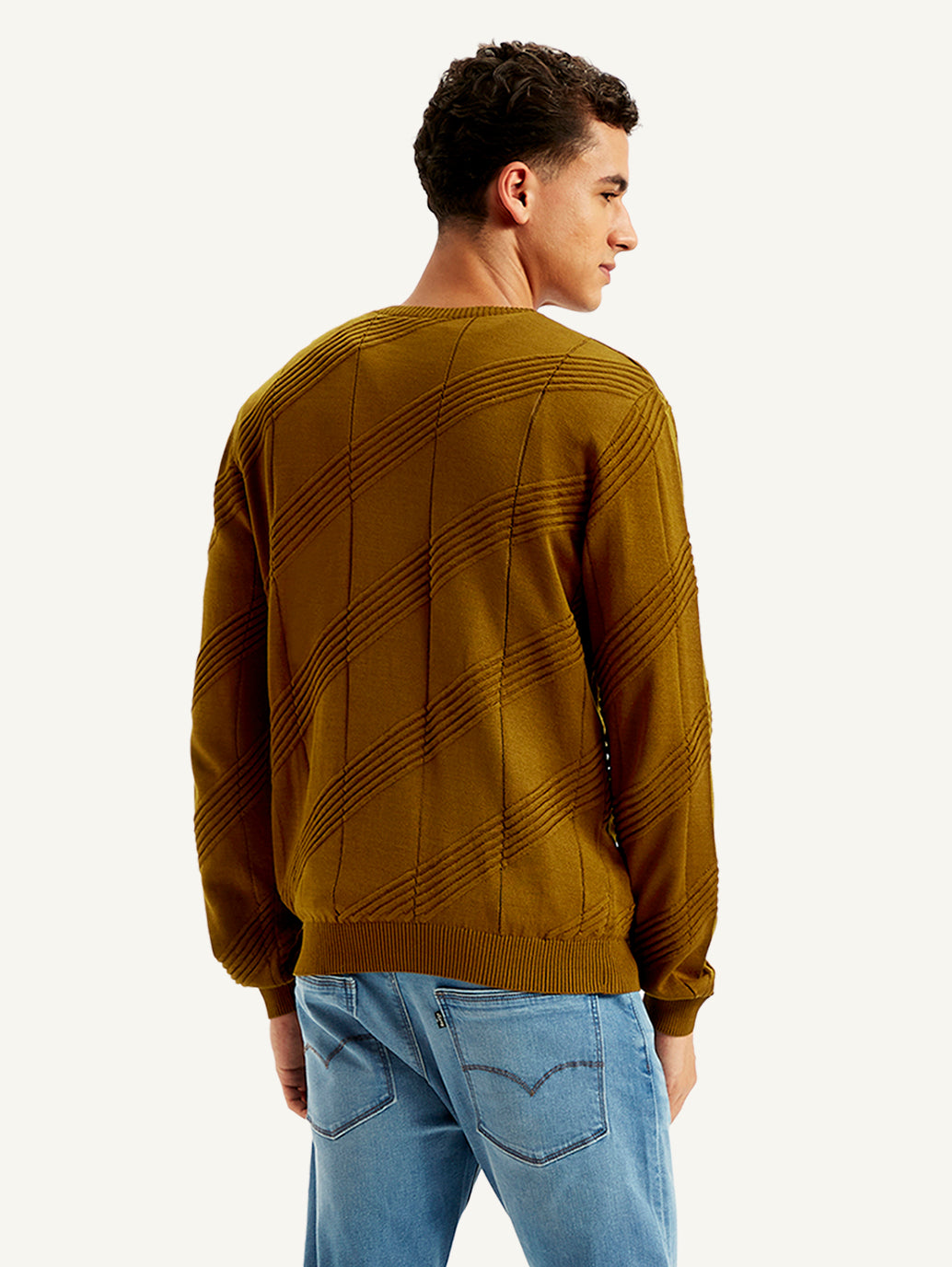 Men's Redloop Textured Brown Crew Neck Sweater - 6985dffe-dc2f-4160-9793-5c37081b270d View