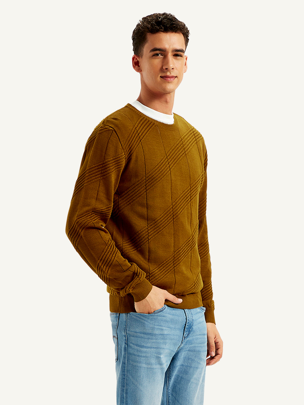 Men's Redloop Textured Brown Crew Neck Sweater - f1be4f28-a2da-4179-bb6a-81e3e4e8f3ac View