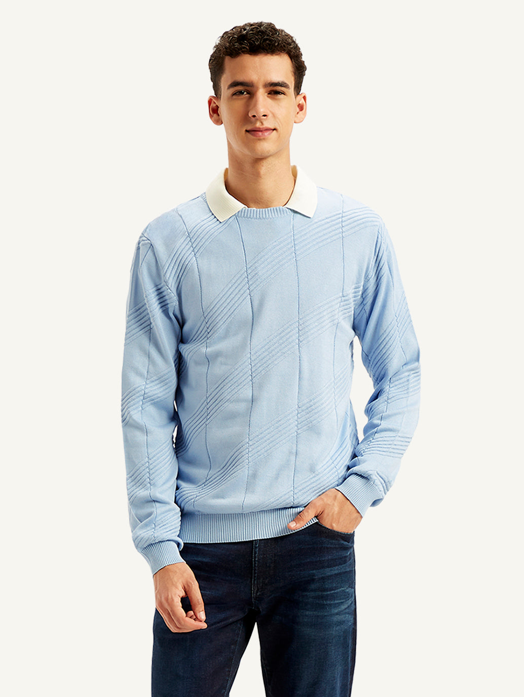 Men's Redloop Textured Light-Blue Crew Neck Sweater - 2402a6dc-7308-4e25-9448-51899c703570 View