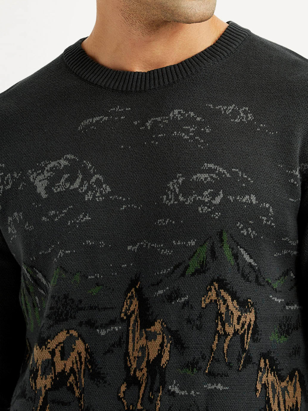 Men's Graphic Black Crew Neck Sweater - Detail View