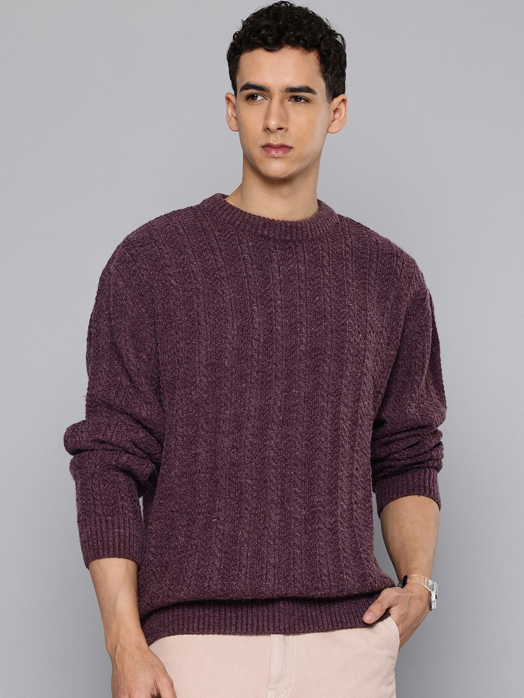 Men's Solid Purple Crew Neck Sweater - 3 View