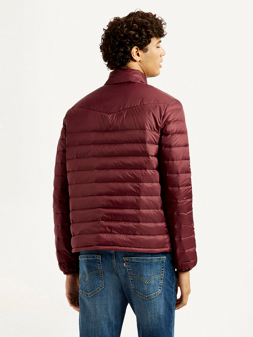 Men's Solid Maroon Puffer Jacket - Back View
