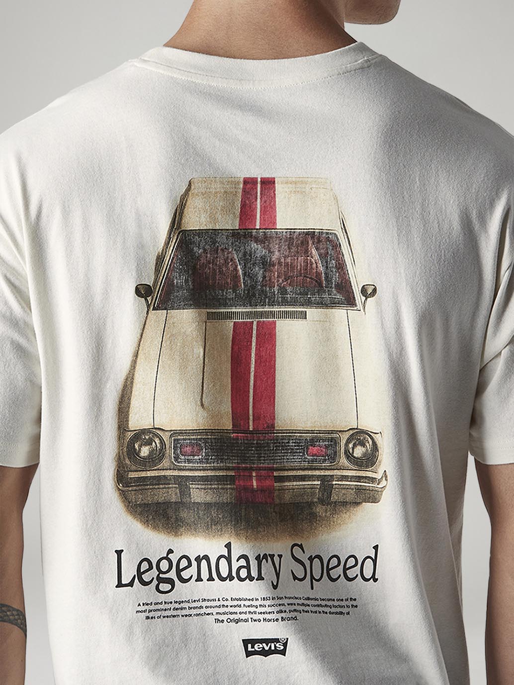 Men's Graphic Print Boxy Fit Jersey T-Shirt - Detail View