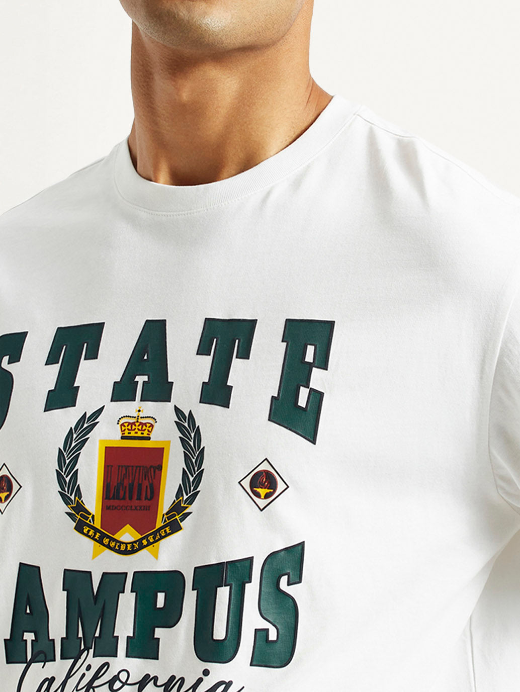 Men's Graphic Loose Fit T-Shirt - Detail View