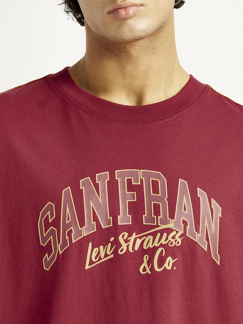 Men's Typographic Print Maroon Loose Fit T-shirt - Detail View