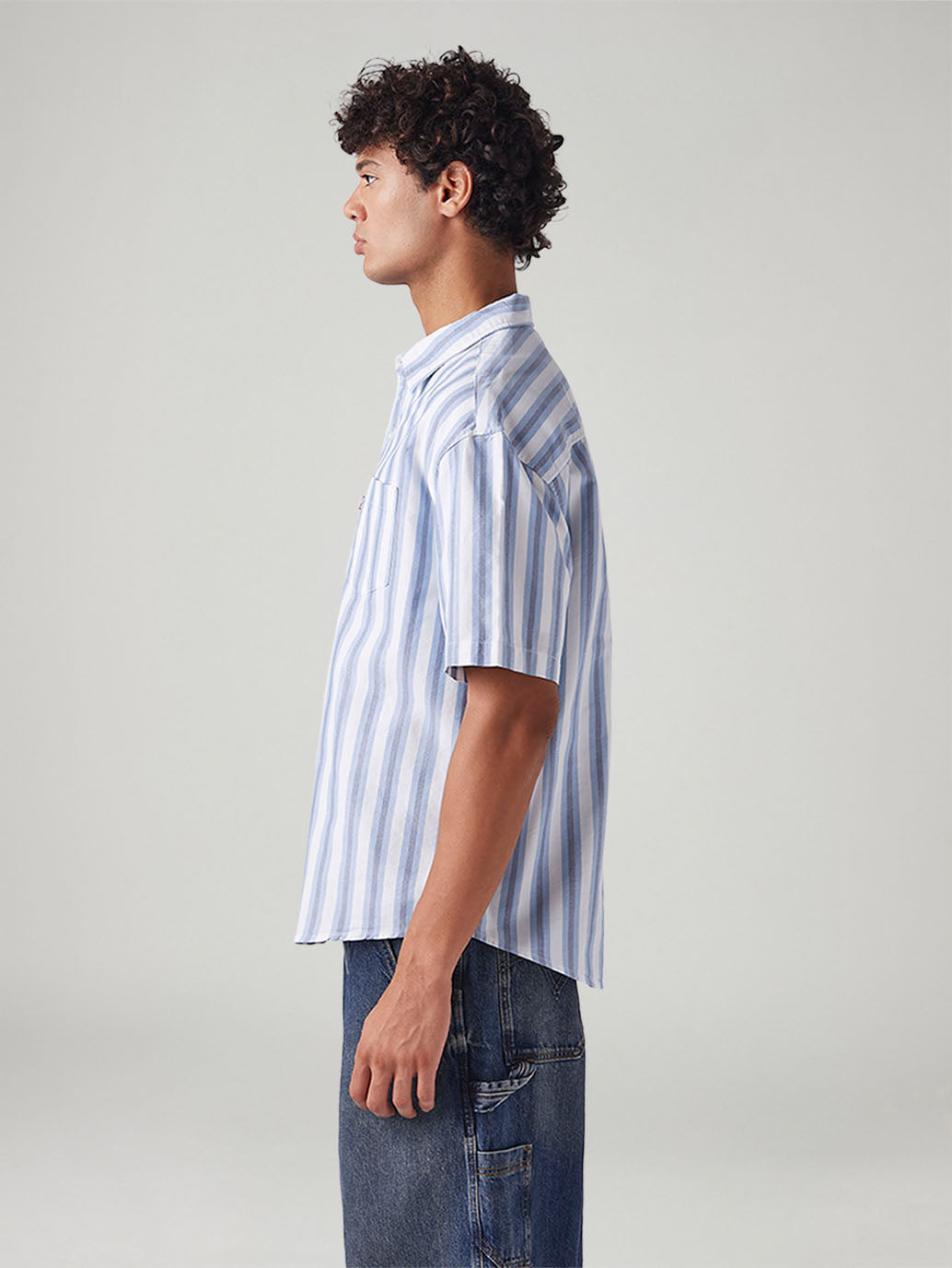 Men's Striped Relaxed Fit Oxford Shirt - Side View
