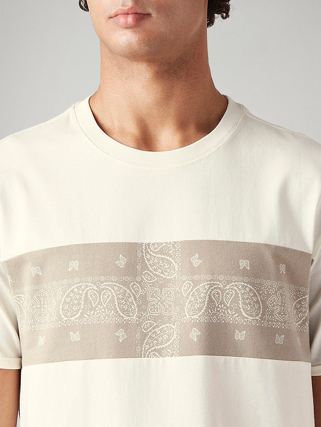 Men's Striped Loose Fit T-Shirt - Detail View
