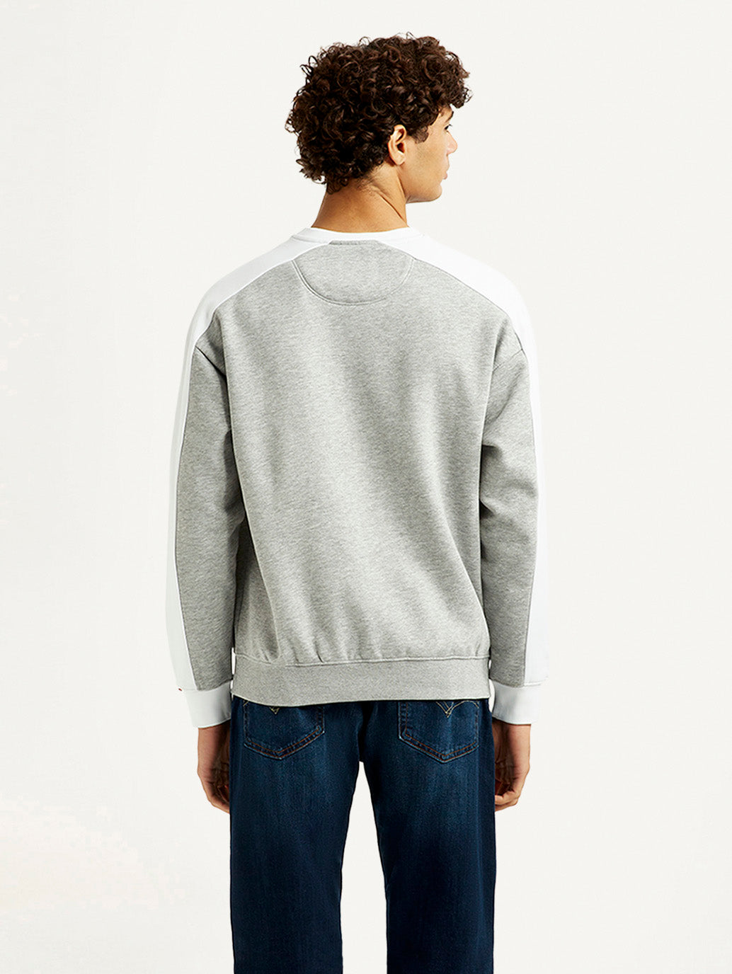 Men's Colorblock Grey Crew Neck Sweatshirt - Back View