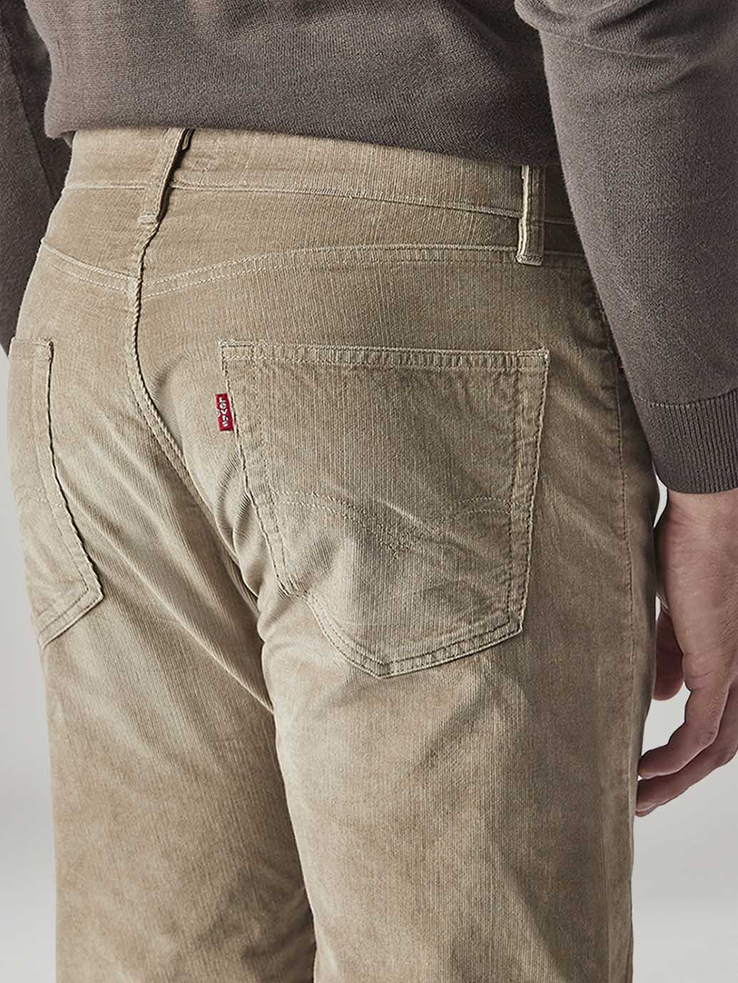 Men's Beige Authentic Relaxed Fit Mid Rise Corduroy Chinos - 20 View