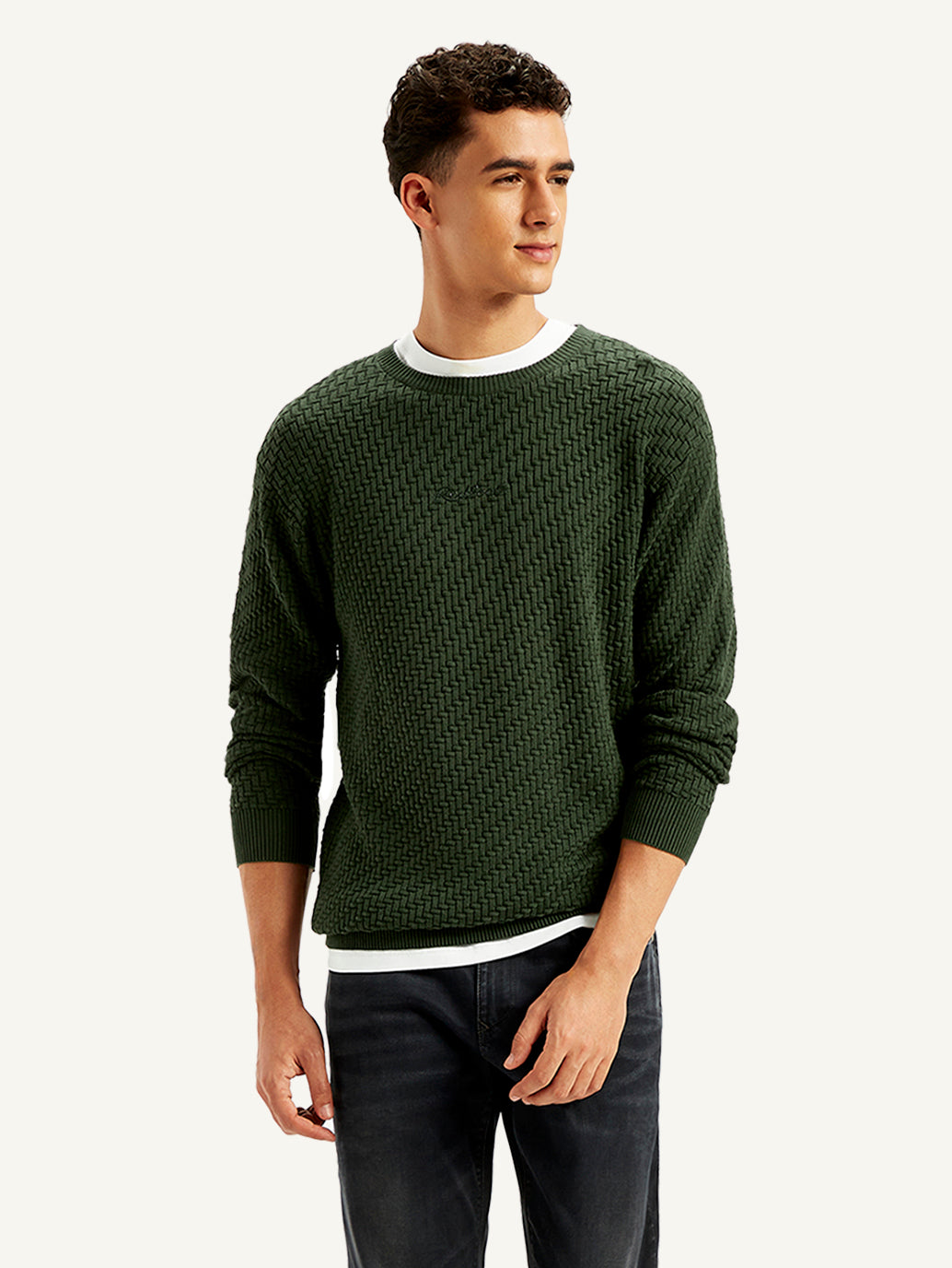 Men's Redloop Textured Olive Crew Neck Sweater