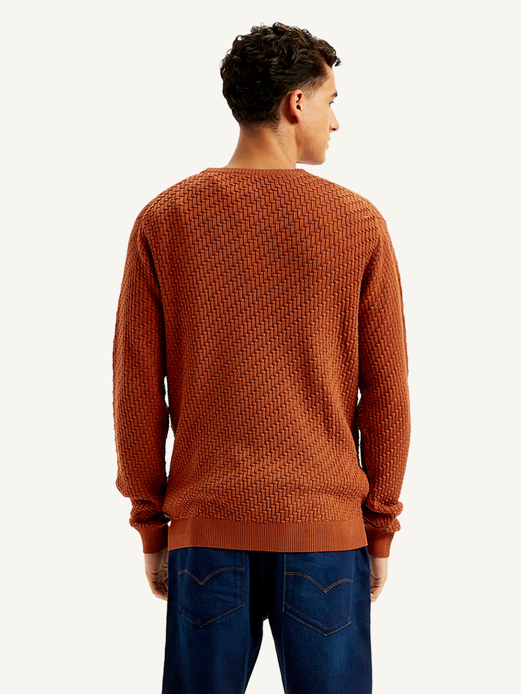 Men's Redloop Textured Rust Crew Neck Sweater - Back View