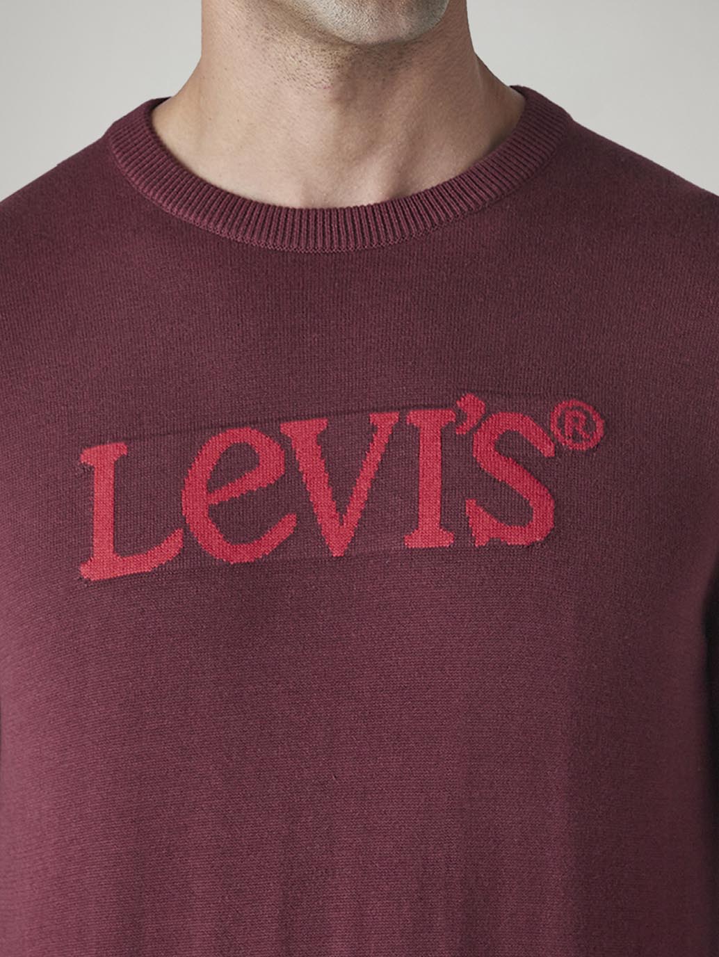 Men's Brand Logo Crew Neck Jersey Sweatshirt - Detail View