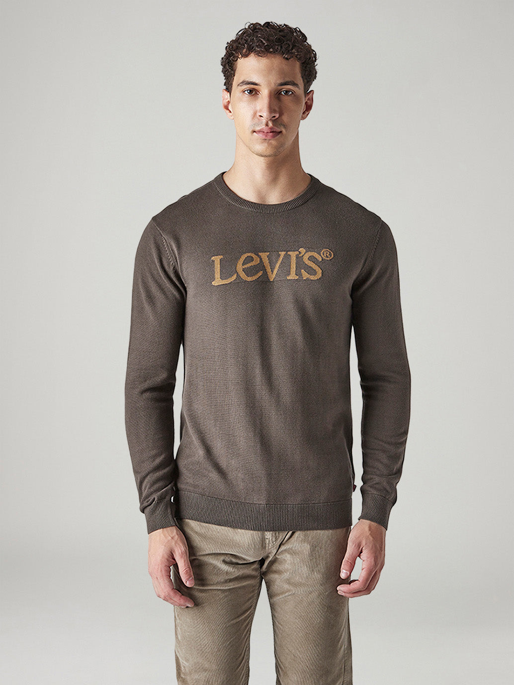 Men's Brand Logo Crew Neck Jersey Sweatshirt - Front View