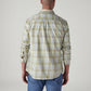 Men's Checkered Slim Fit Oxford Shirt - Back View