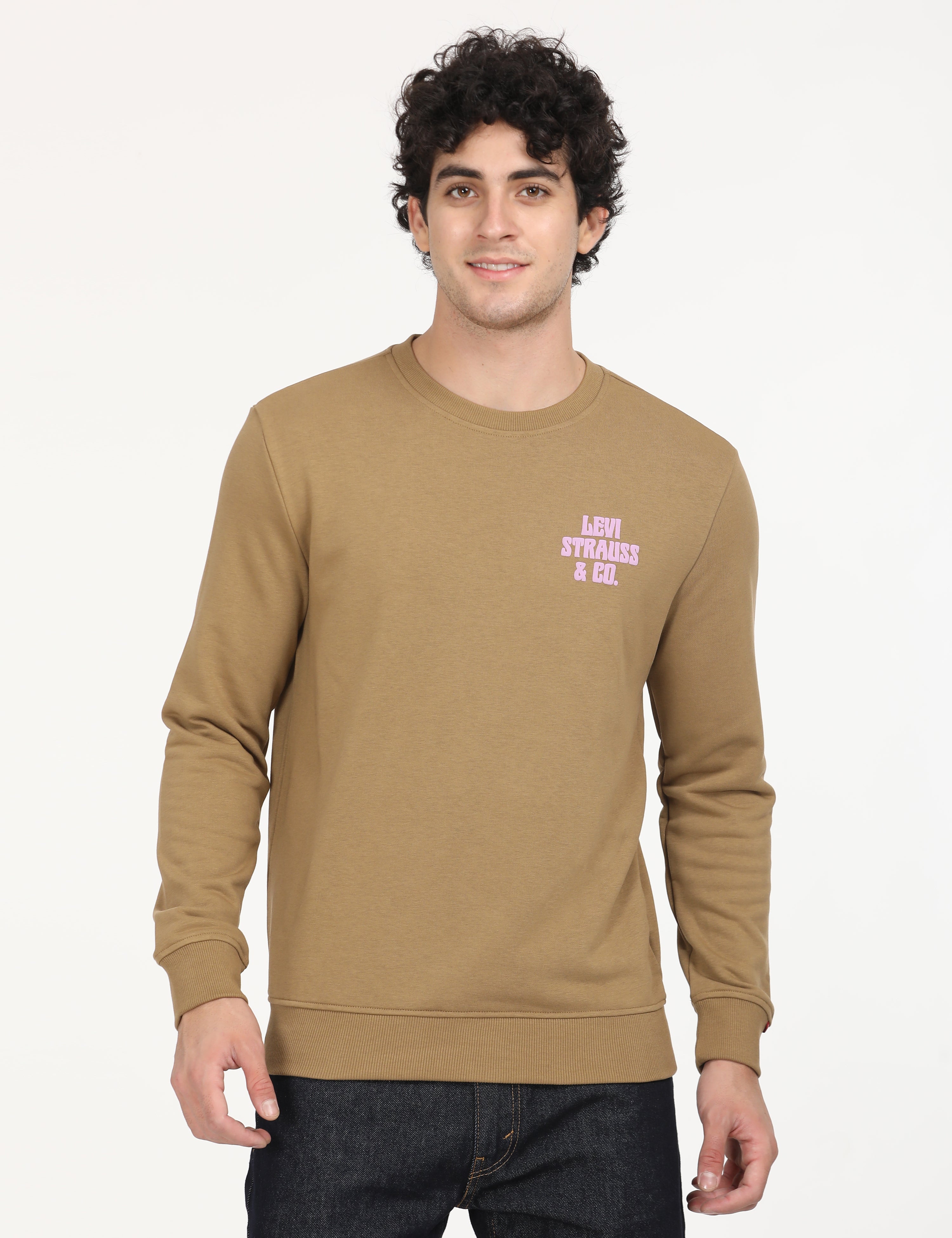 Men's Solid Brown Crew Neck Sweatshirt