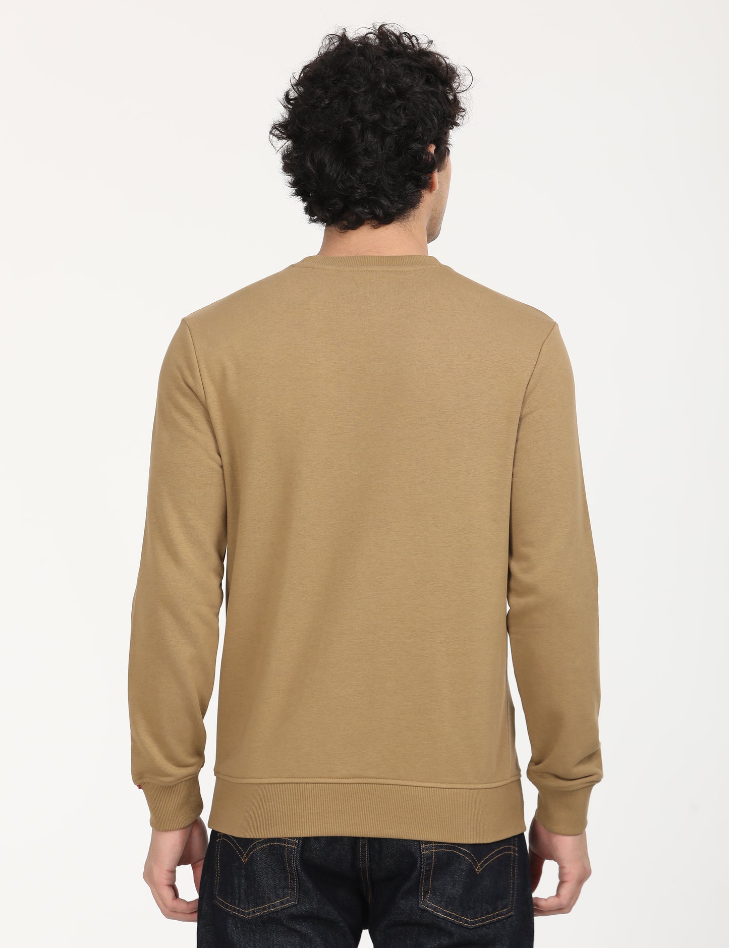Men's Solid Brown Crew Neck Sweatshirt - Back View