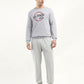 Men's Solid Grey Crew Neck Sweatshirt - ModelFront View
