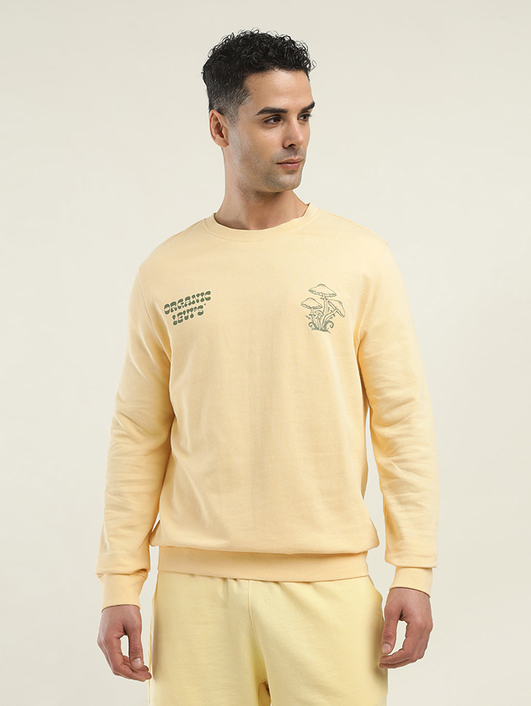 Men's Solid Crew Neck Sweatshirt - Front View