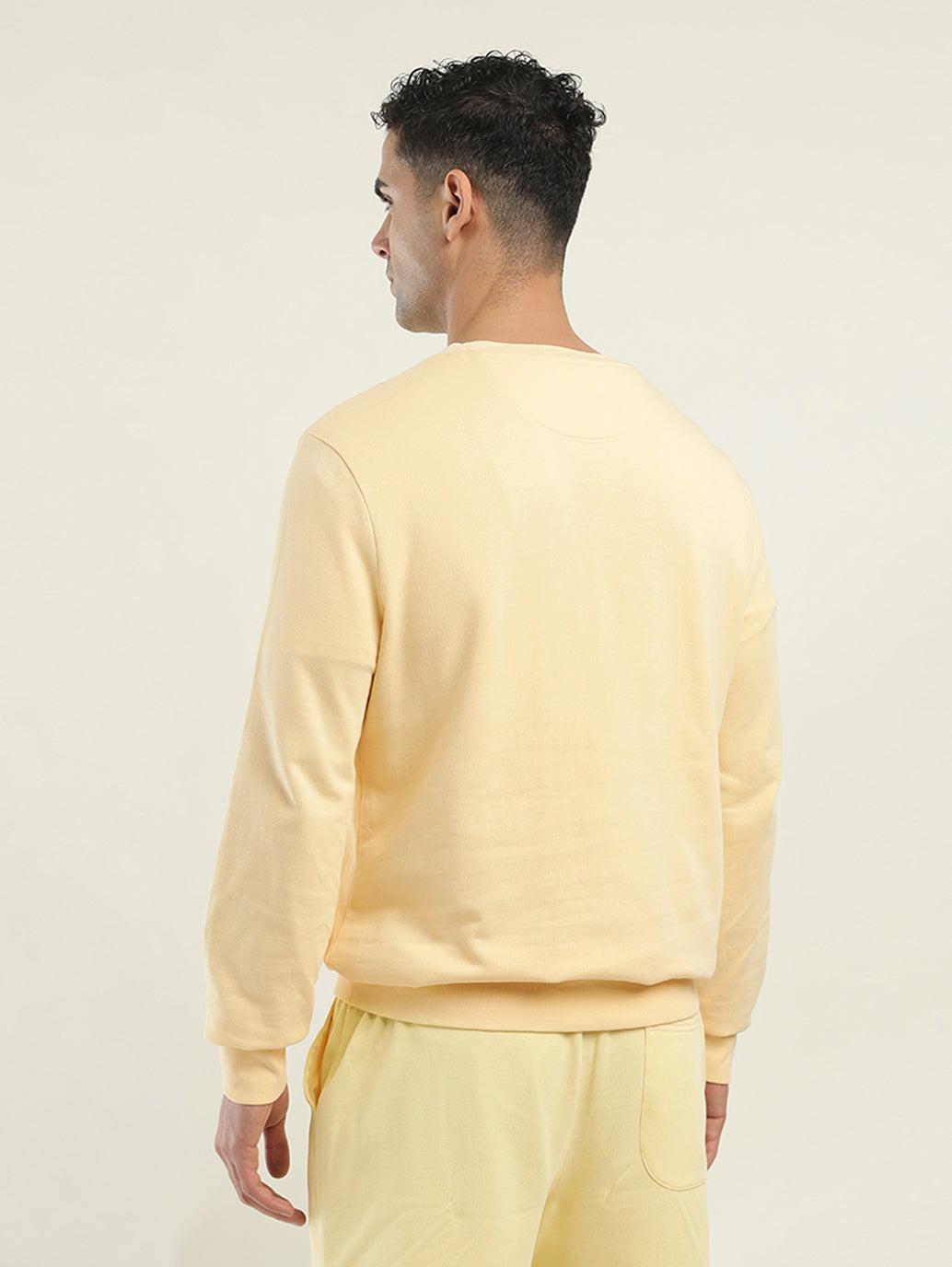 Men's Solid Crew Neck Sweatshirt - Back View