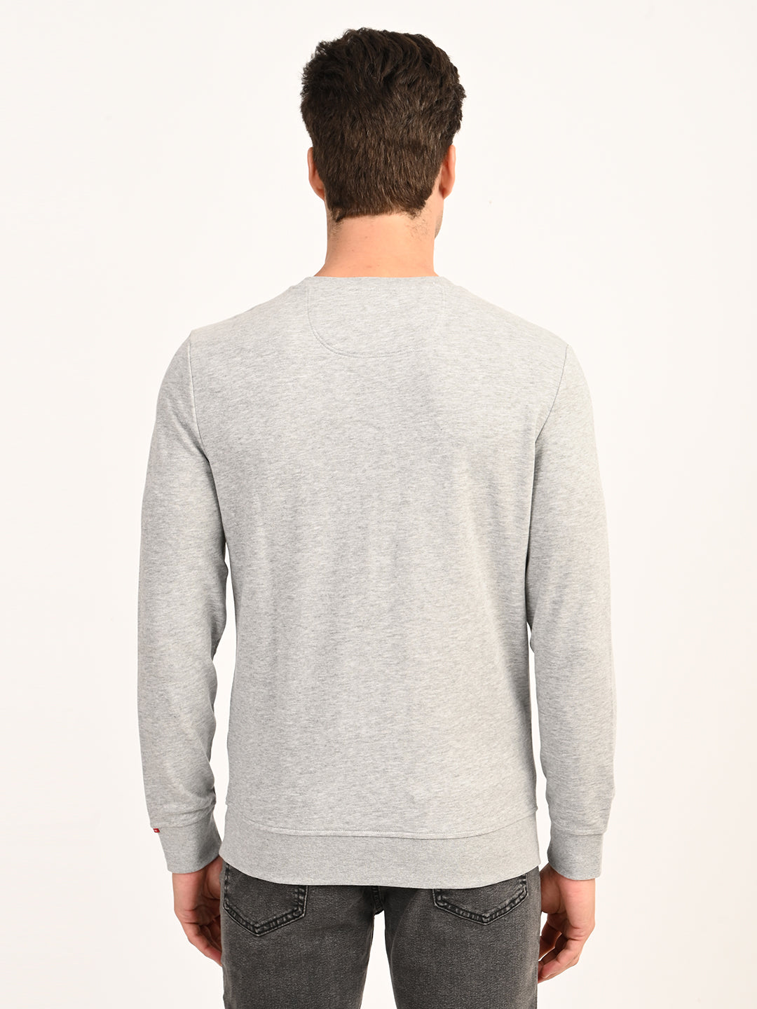 Men's Typographic Print Light Grey Slim Fit Sweatshirt - back View