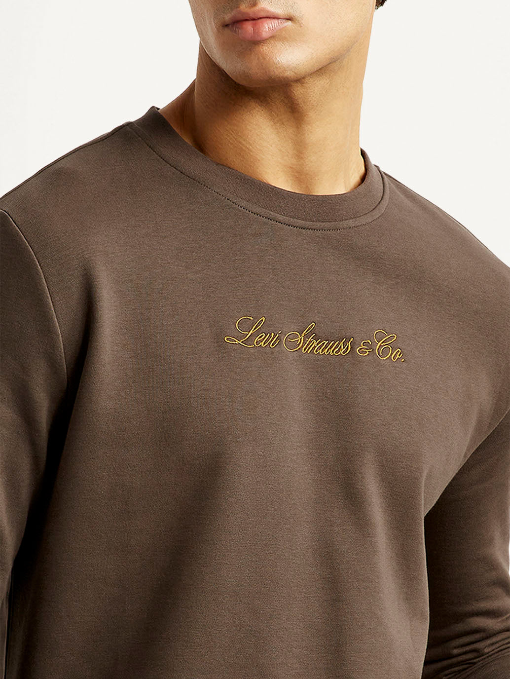 Men's Brand Logo Crew Neck Sweatshirt - Detail View