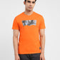 Orange - 6d19b0a5-afef-400f-8446-55edd035eff0 View
