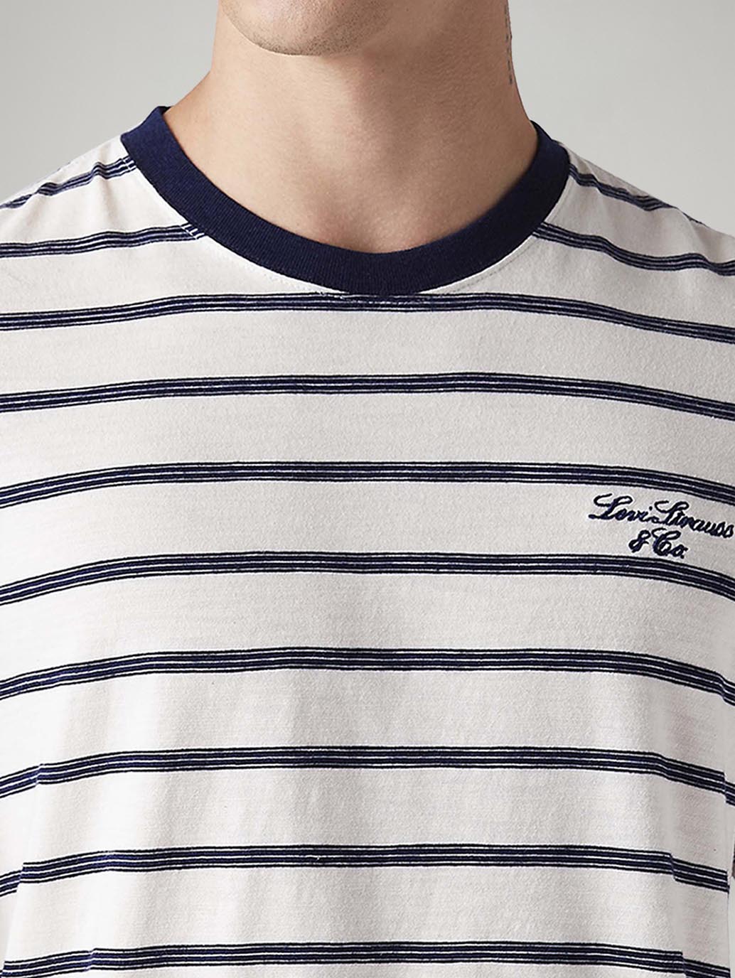 Men's Striped Regular Fit T-Shirt - Detail View