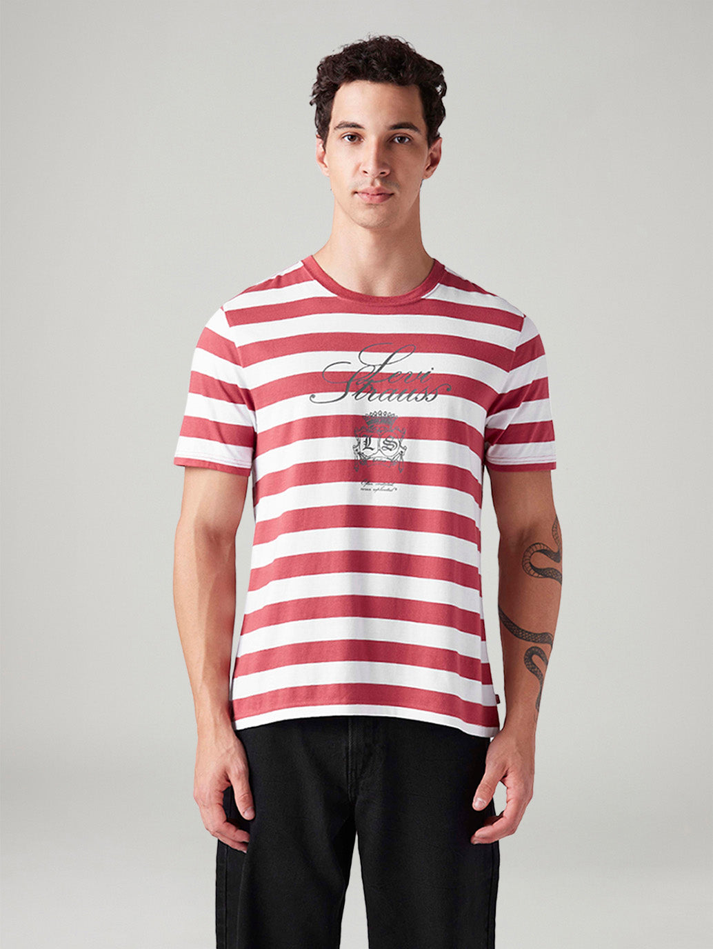 Men's Striped Regular Fit T-Shirt - Front View