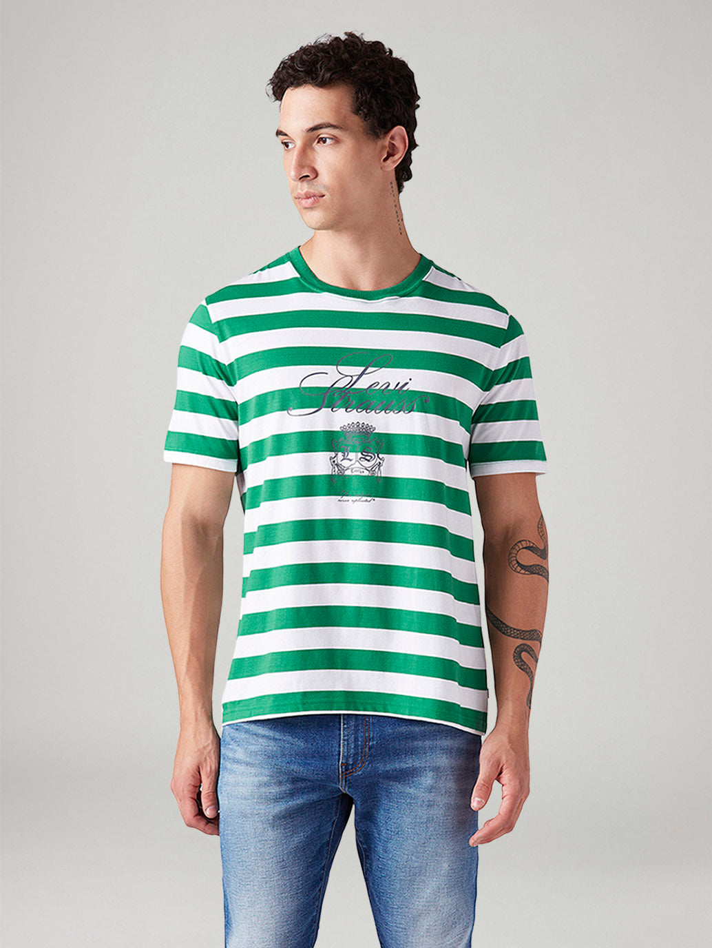 Men's Striped Regular Fit T-Shirt - Front View