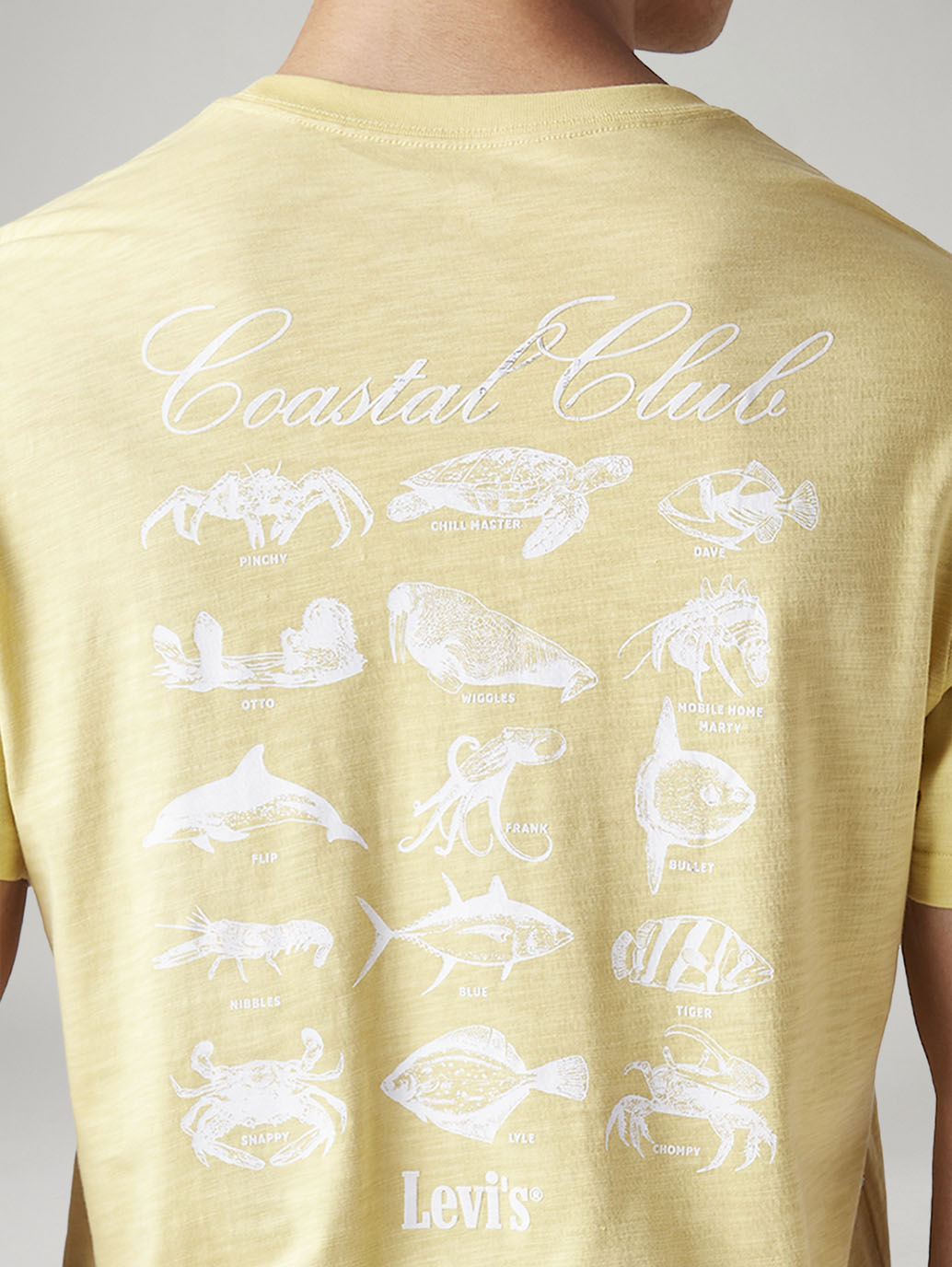 Men's Graphic Print Regular Fit T-Shirt - Detail View