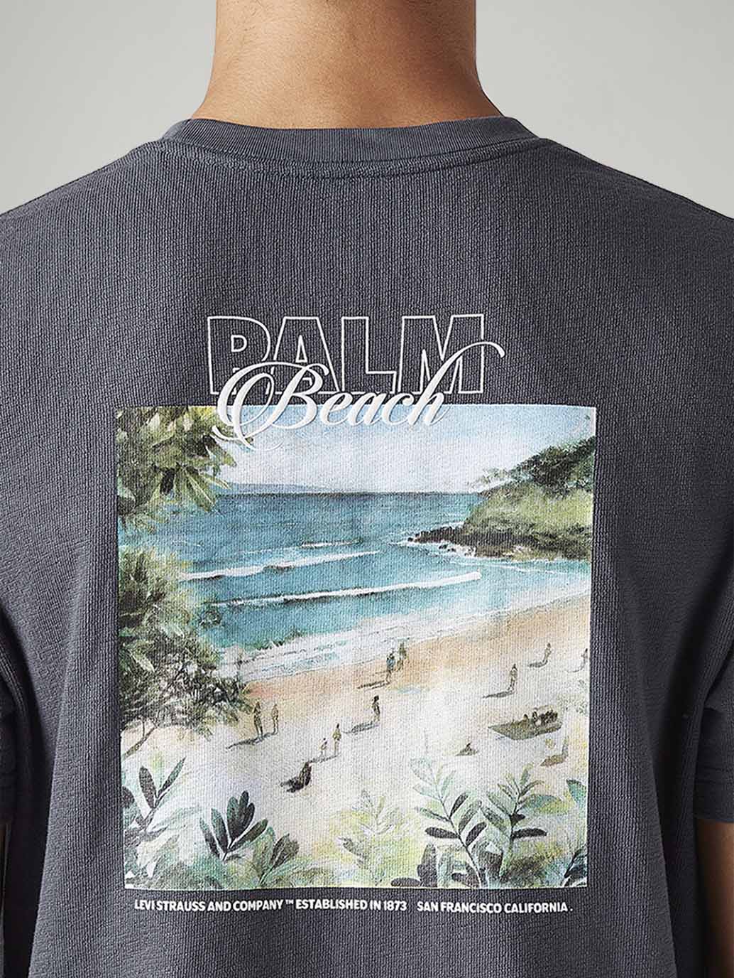Men's Graphic Print Regular Fit T-Shirt - Detail View