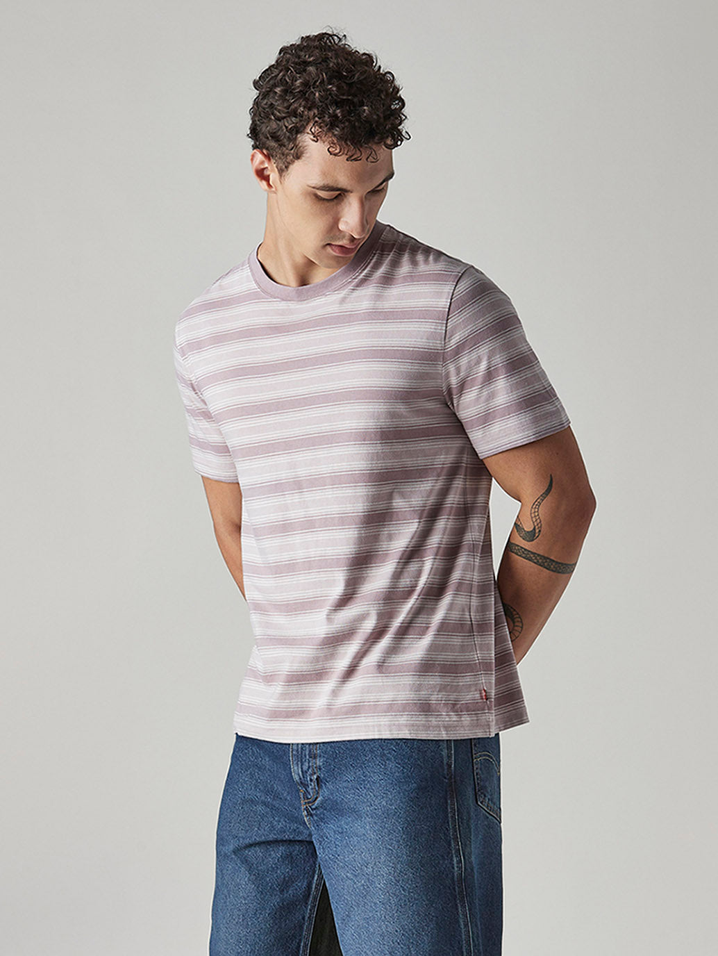 Men's Striped Regular Fit Jersey T-Shirt