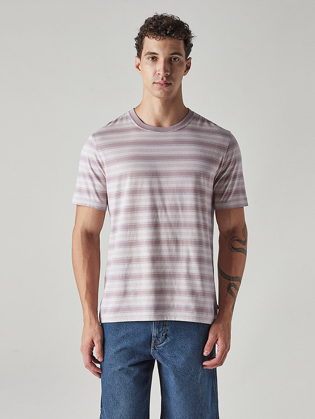 Men's Striped Regular Fit Jersey T-Shirt - Front View