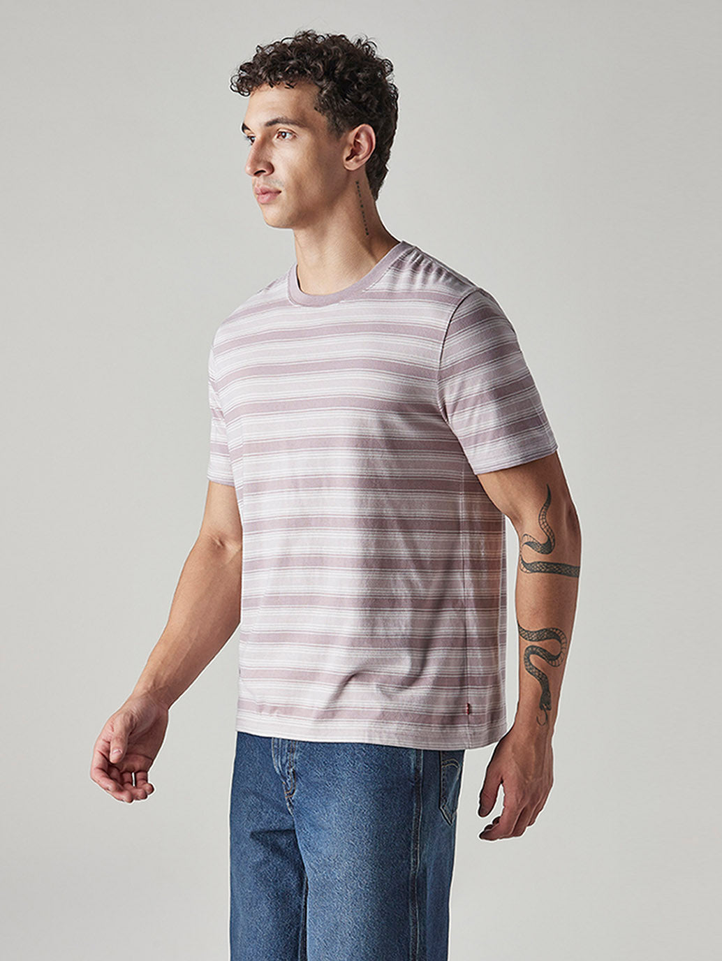 Men's Striped Regular Fit Jersey T-Shirt - Side View