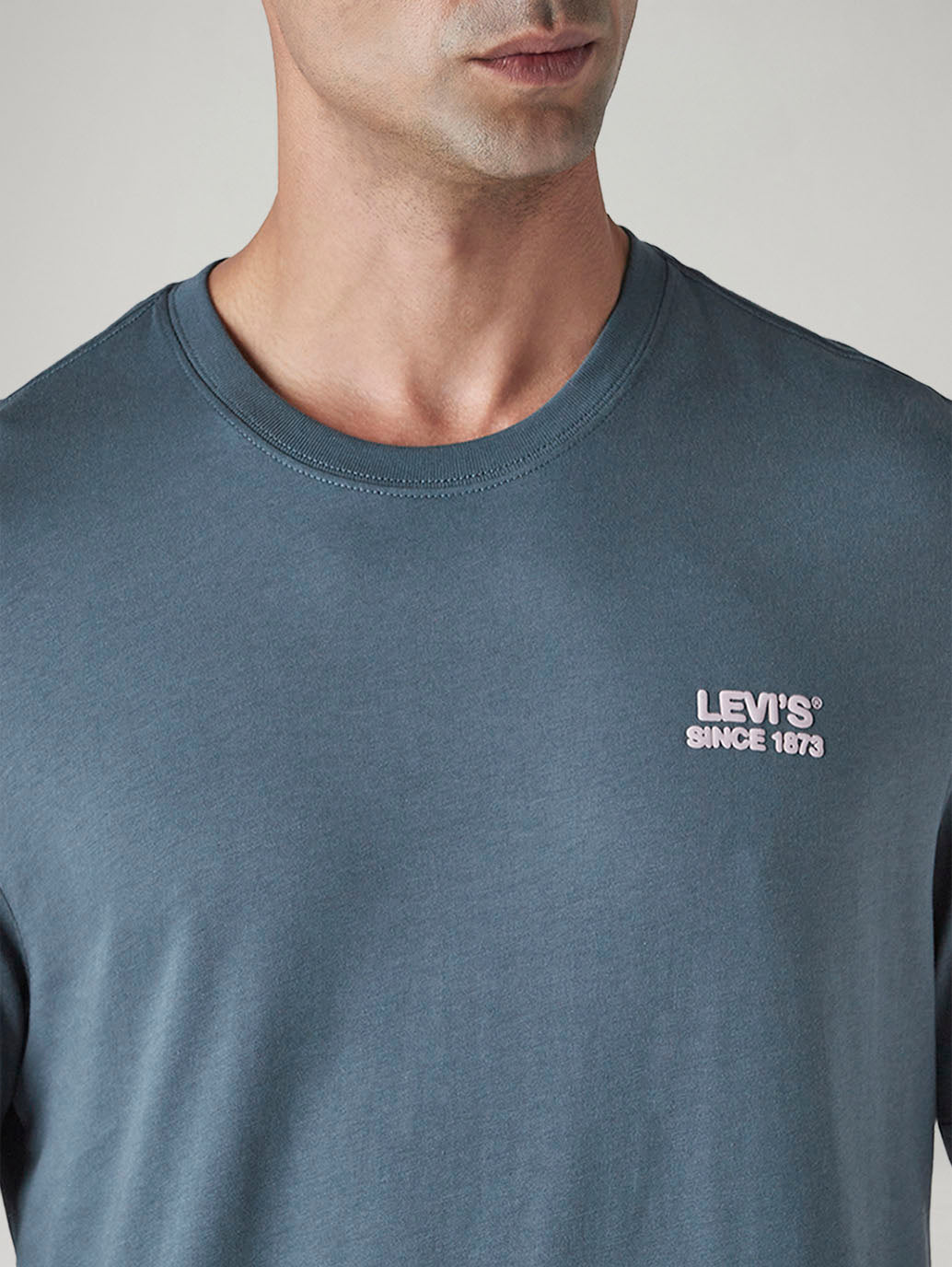 Men's Graphic Print Regular Fit Jersey T-Shirt - Detail View