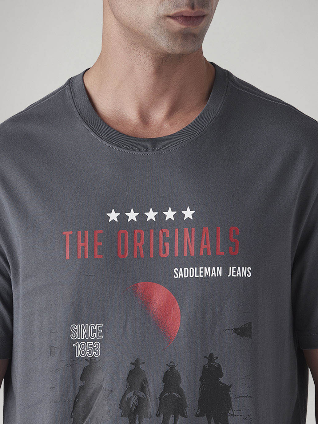 Men's Graphic Print Regular Fit T-Shirt - Detail View
