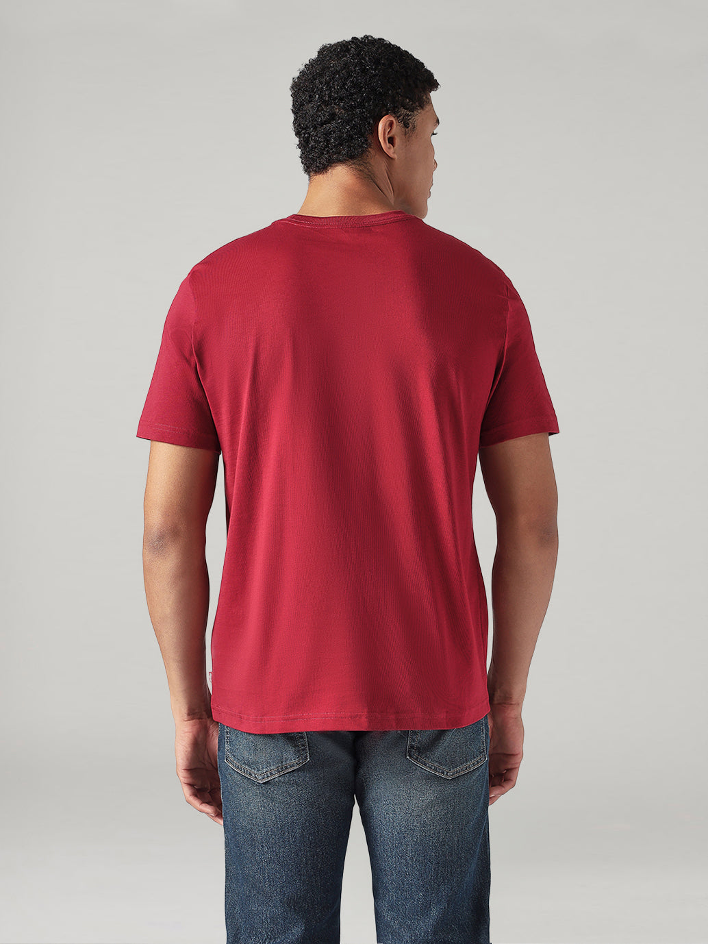 Men's Solid Regular Fit Jersey T-Shirt - Back View