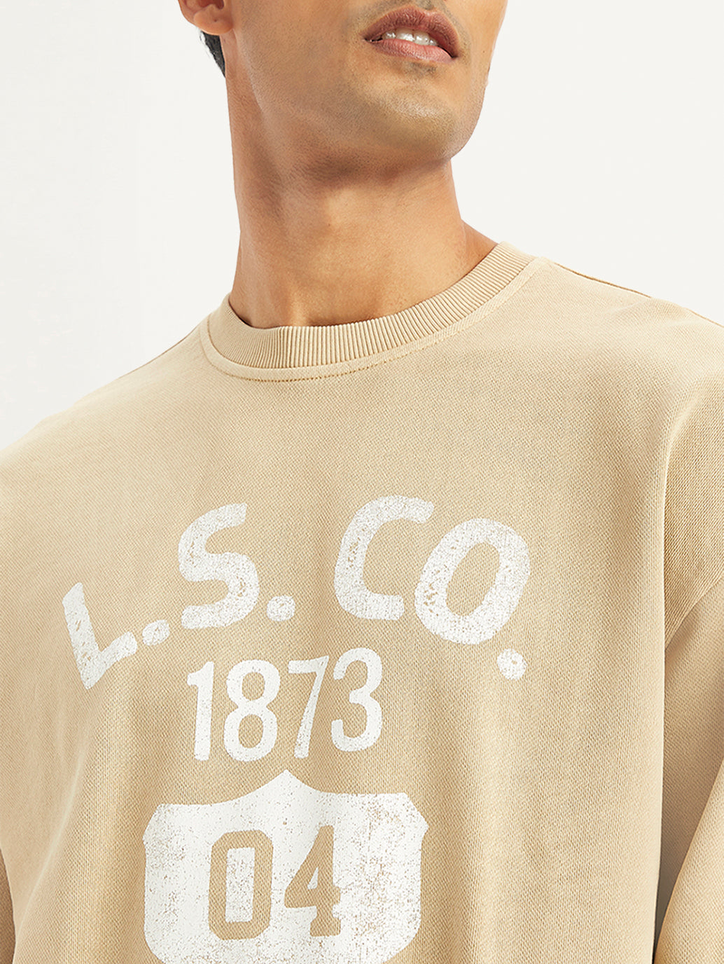 Men's Graphic Print Relaxed Fit Sweatshirt - Detail View