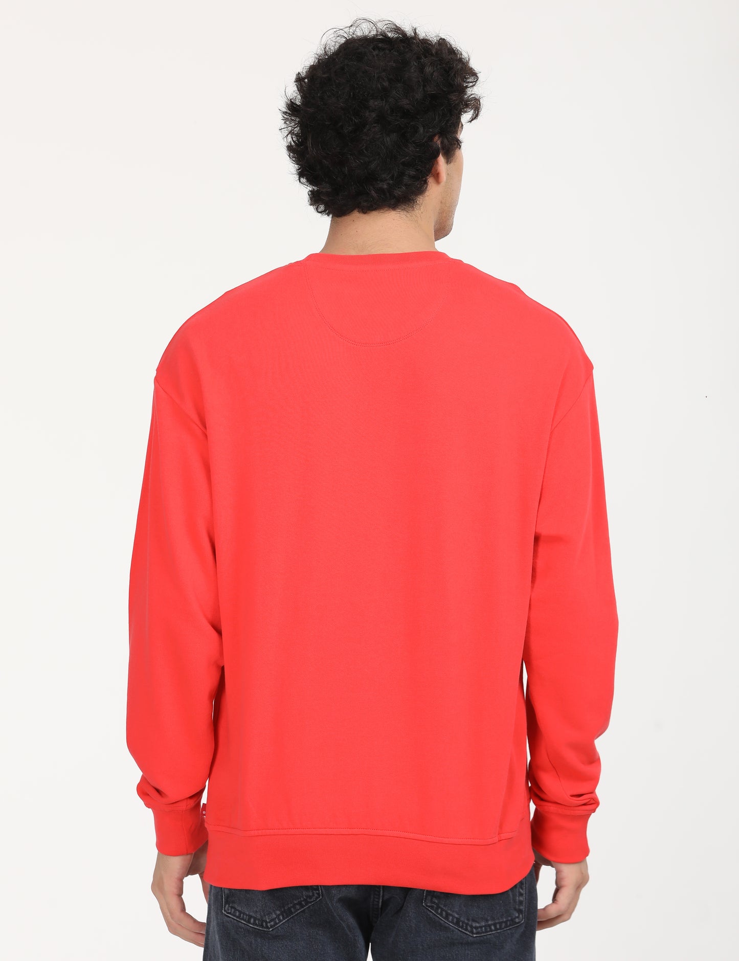 Men's Solid Red Crew Neck Sweatshirt - Back View