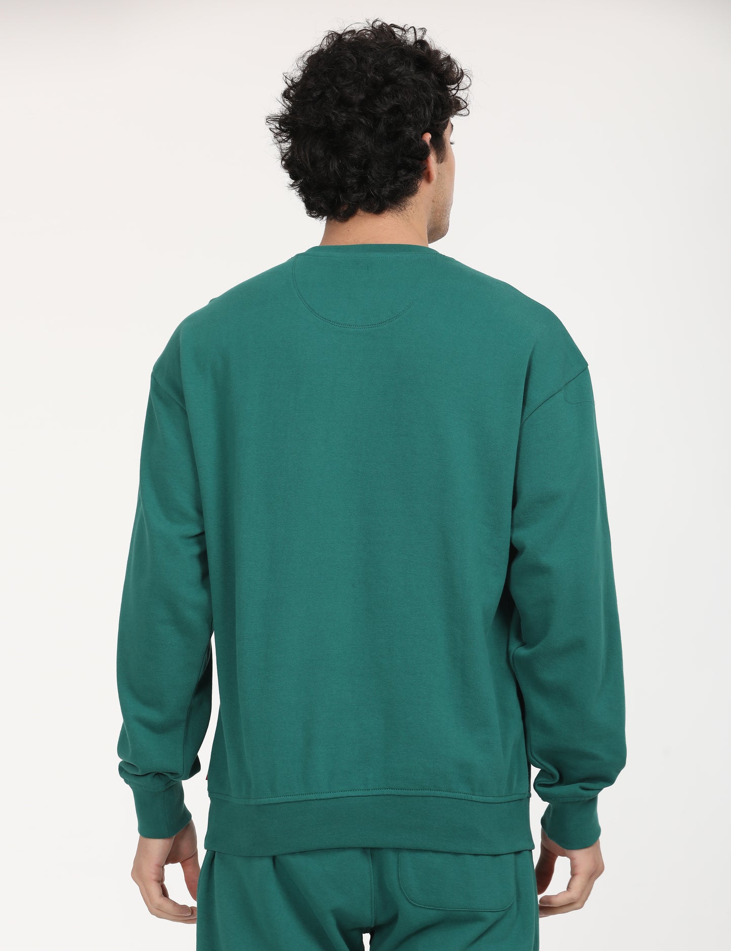 Men's Solid Green Crew Neck Sweatshirt - Back View