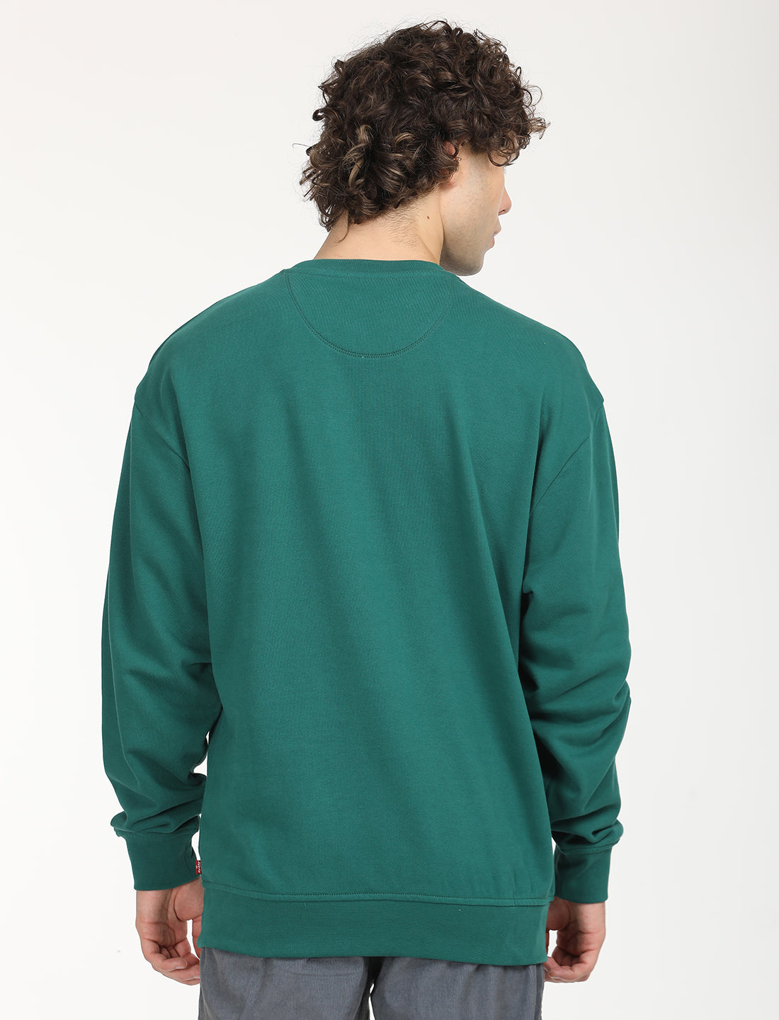 Men's Solid Green Crew Neck Sweatshirt - Back View