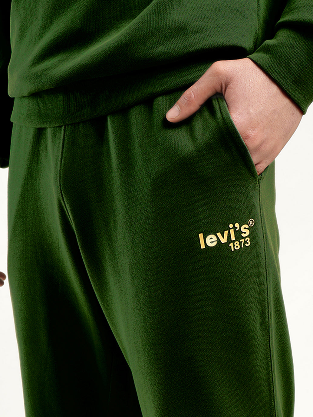 Men's Green Regular Fit Trousers - Detail View