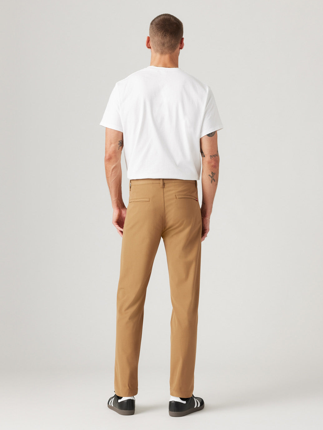 Men's Brown Regular Fit Chinos - 415665ae-bbd6-4bc2-ab5e-bae9ca9733dc View